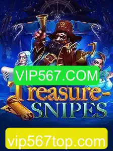 Explorando o Fascinante Mundo de TreasureSnipes